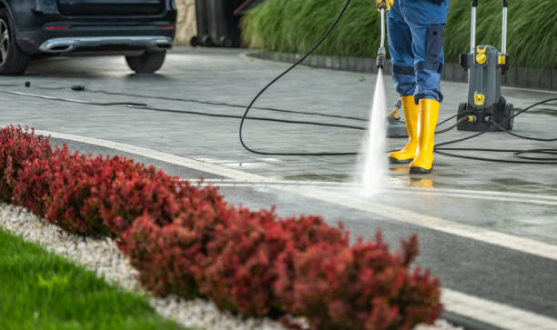 Best Affordable Pressure Washing  in Belmont, CA